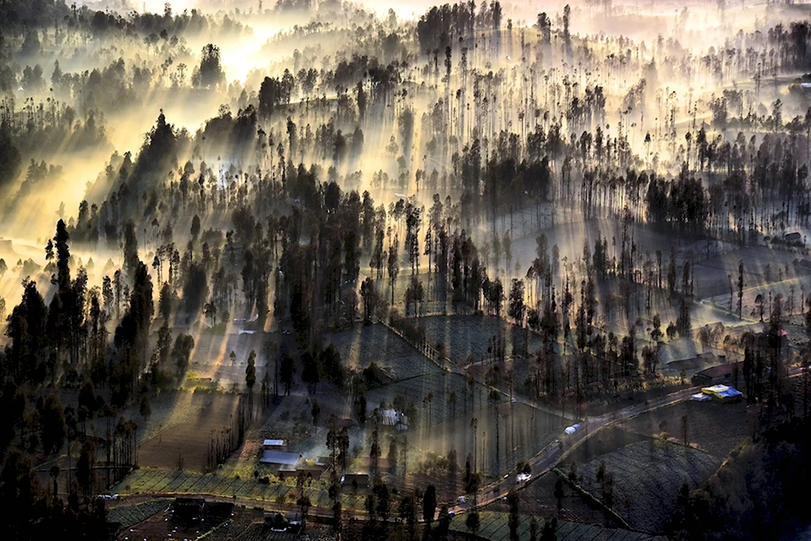 National Geographic