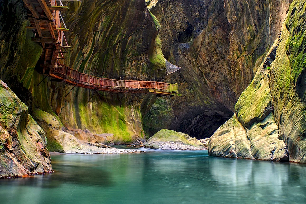National Geographic Швейцария