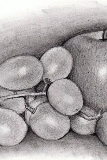 Натюрморт рисунок карандашом