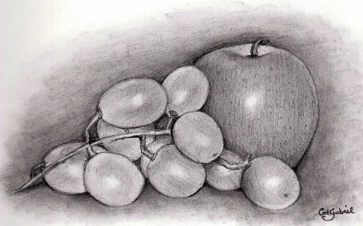 Натюрморт рисунок карандашом