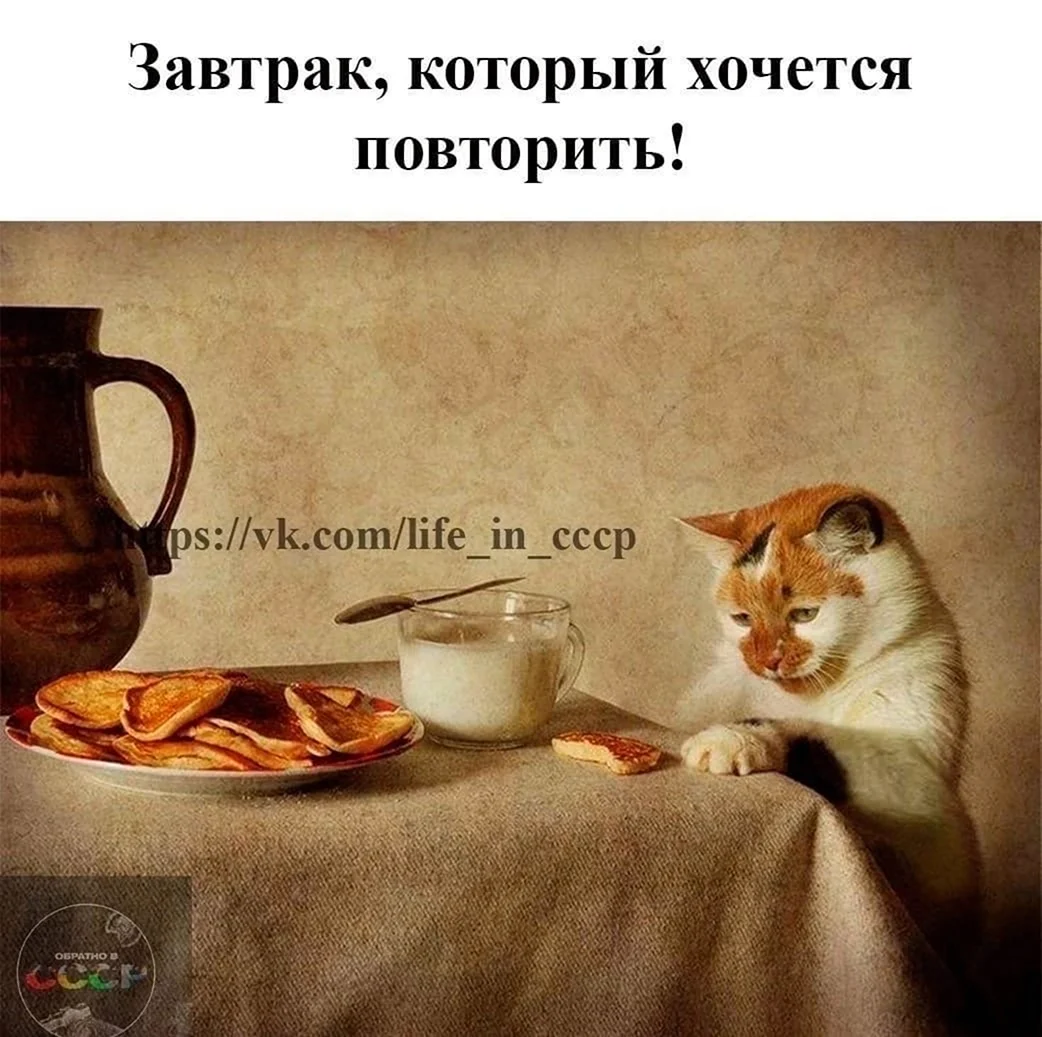 Натюрморт с котом и блинами