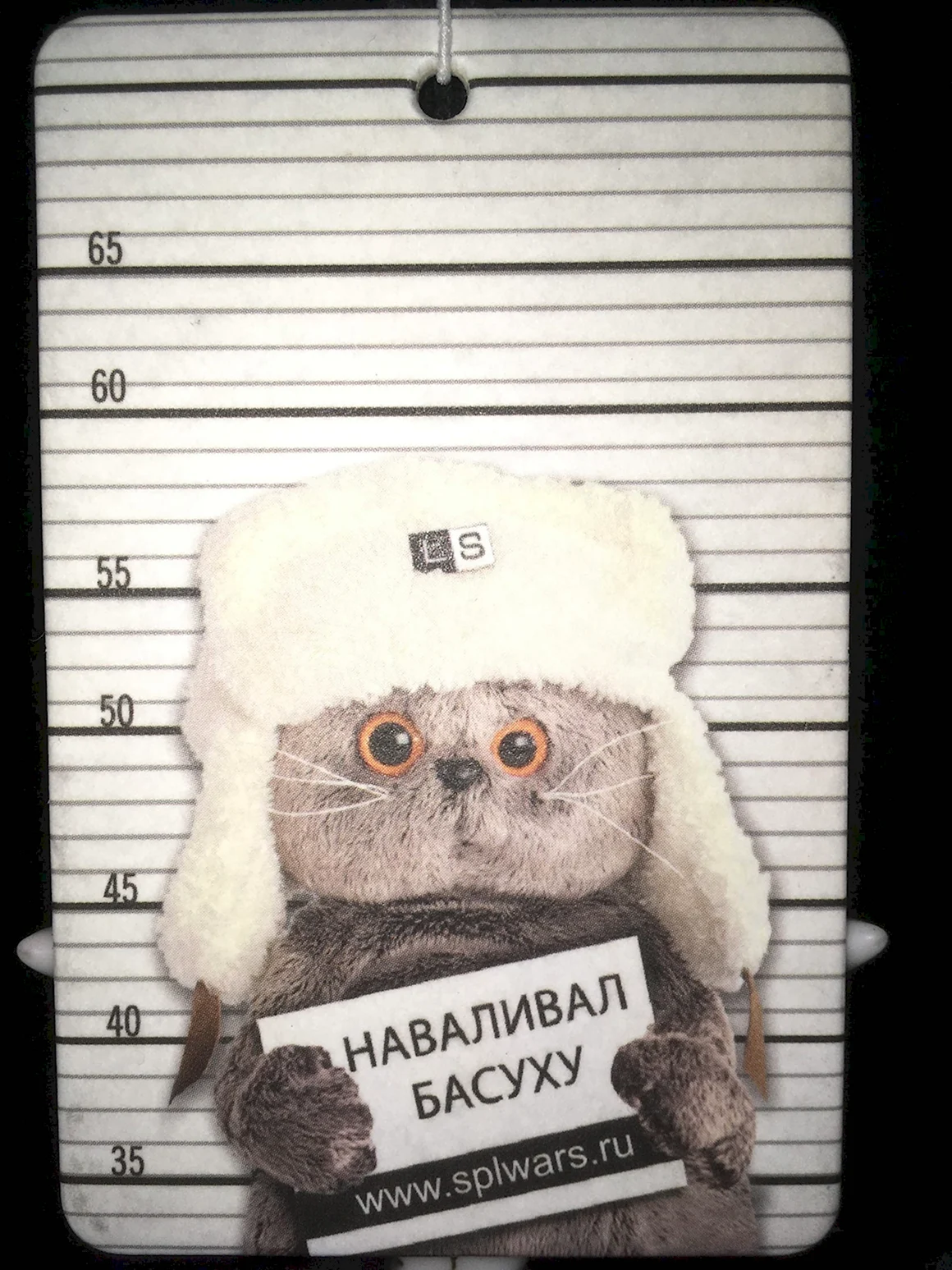 Наваливал басуху