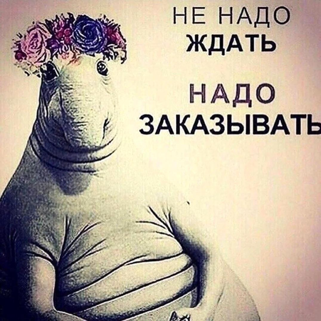 Не надо ждать надо заказывать Ждун
