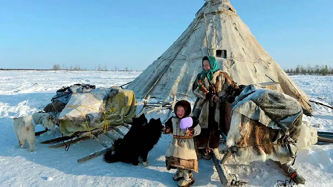 Ненцы Ямало Ненецкий автономный округ