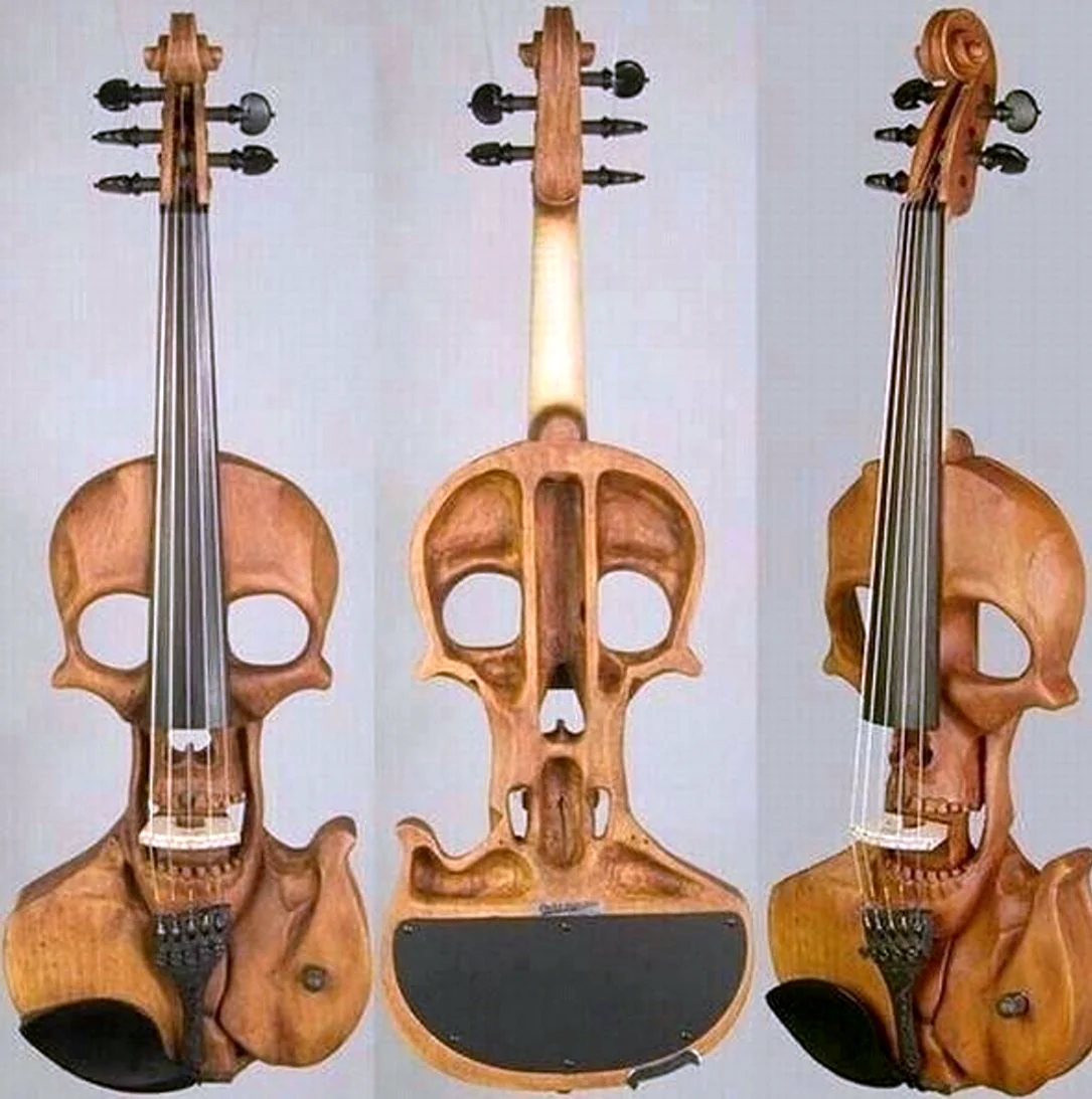 Необычная скрипка