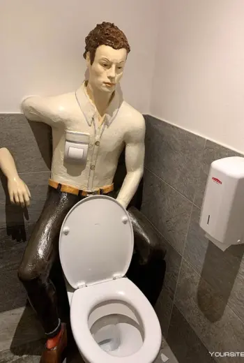 Необычные унитазы