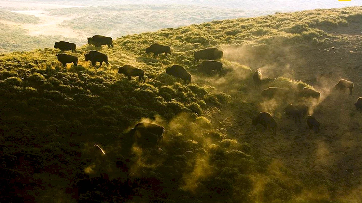 Неопубликованные снимки National Geographic