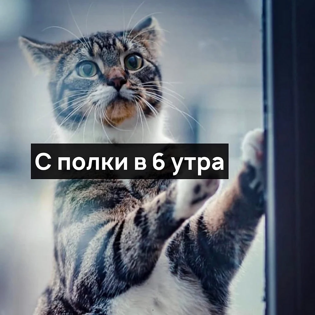 Нервы сдают