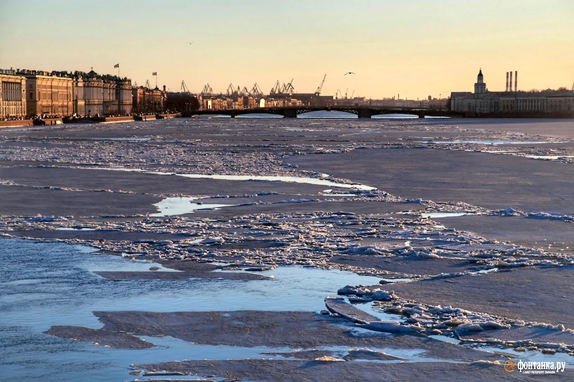 Нева в Питере весной