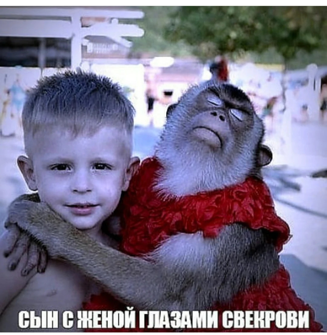 Невестка глазами свекрови