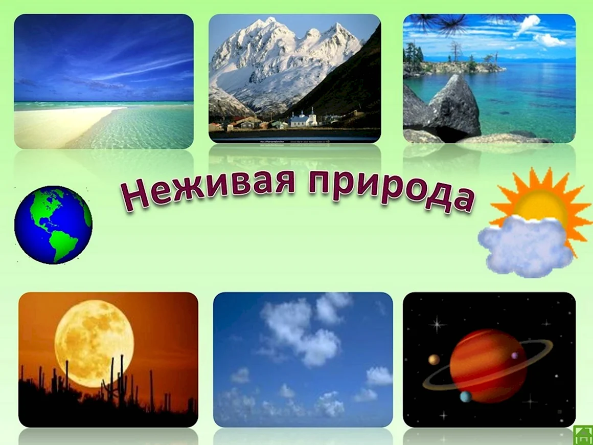 Неживая природа