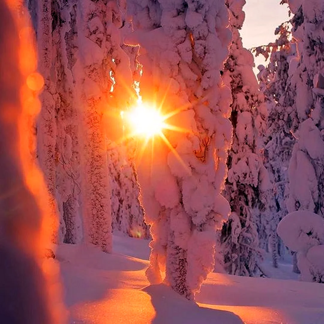 Неживая природа