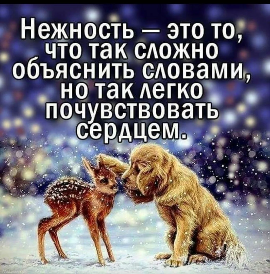 Нежность высказывания