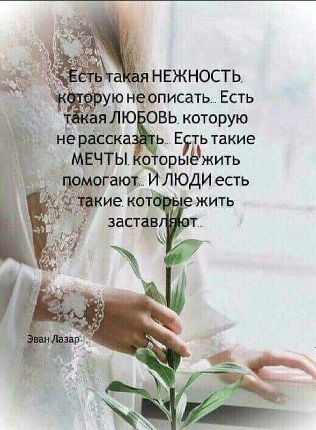 Нежность высказывания