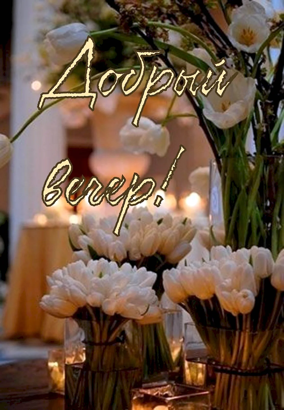 Нежные вечерние цветы