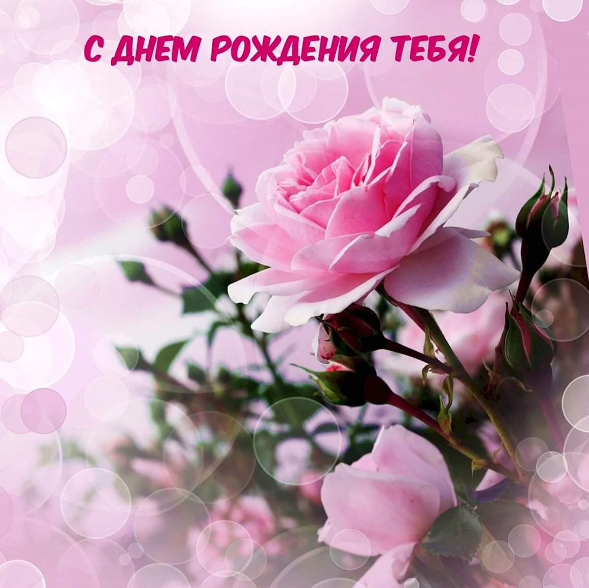 Нежный фон для открытки