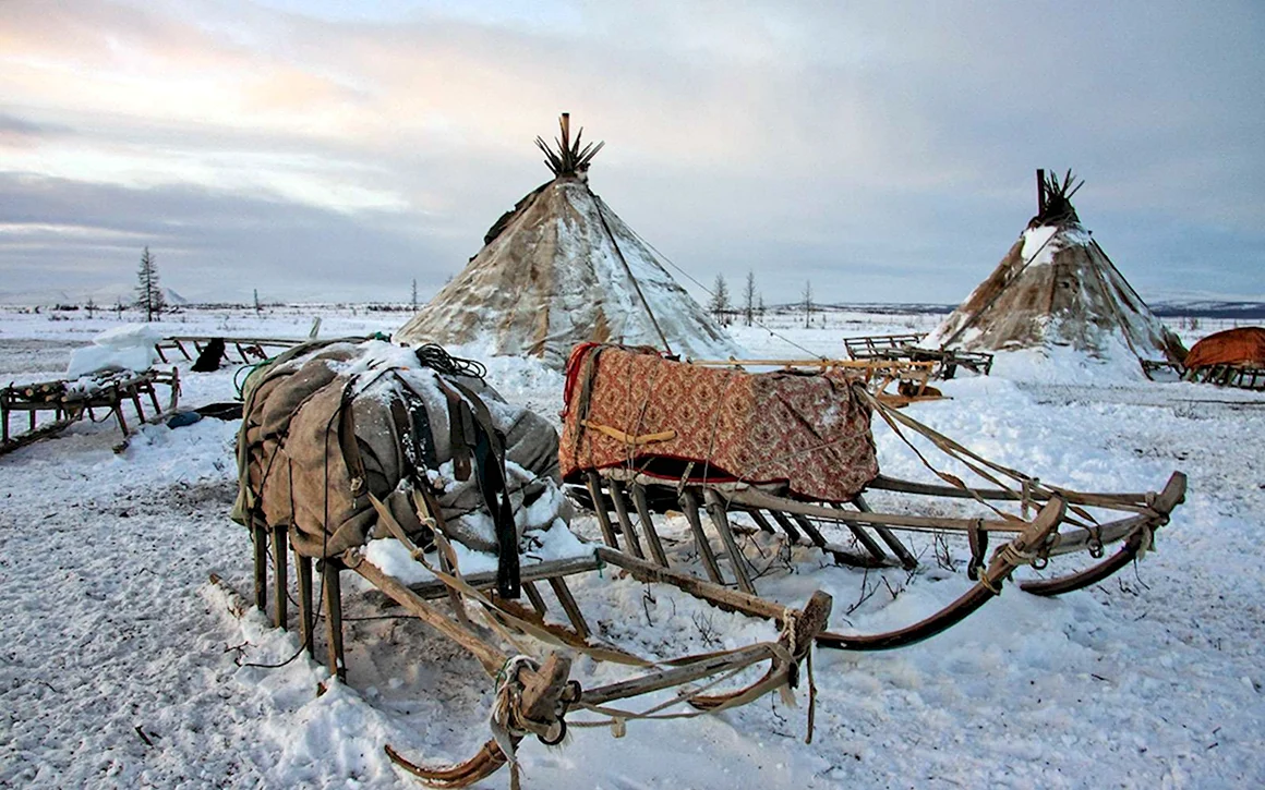 Нганасаны Нарты