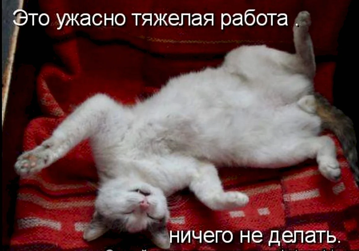 Ничего не делаю на работе