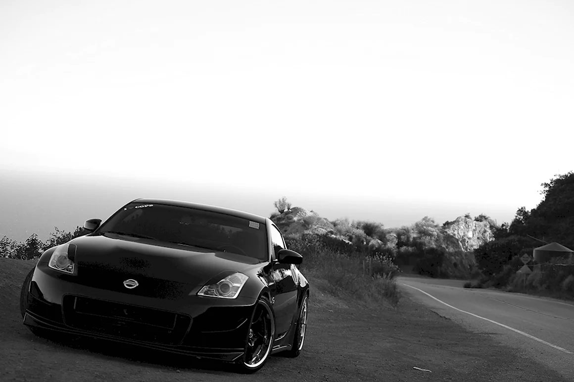 Ниссан 350z чёрно белый