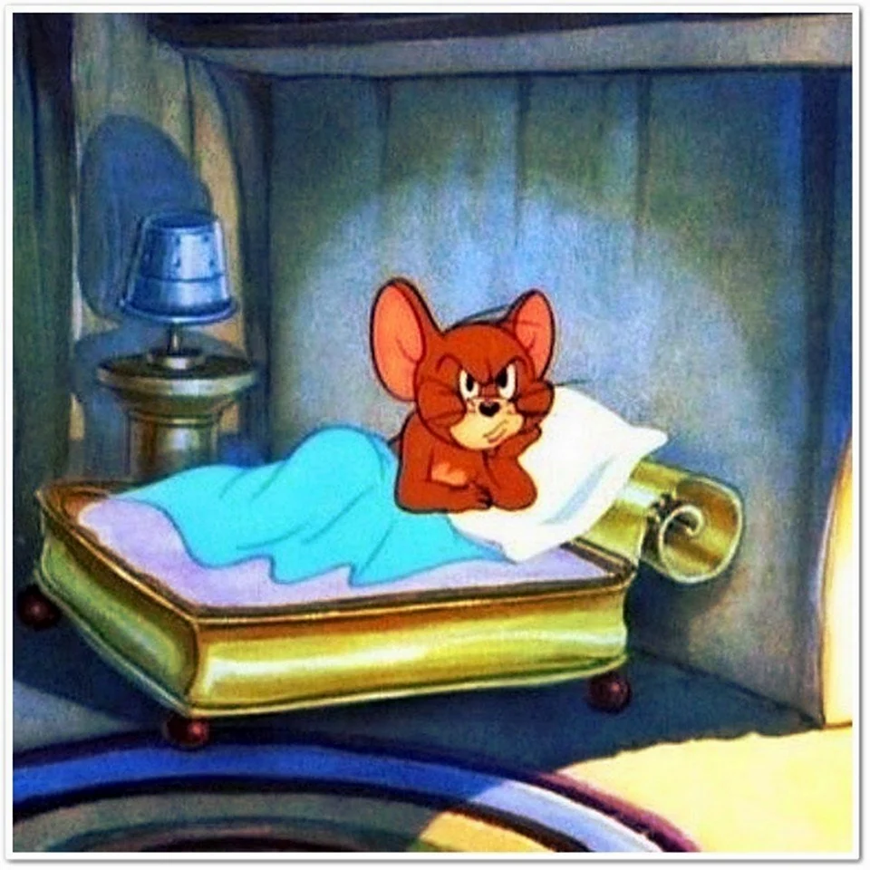 Ночь перед соревнованиями