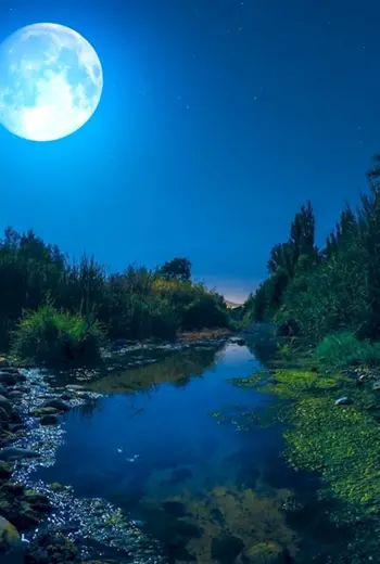 Ночная природа
