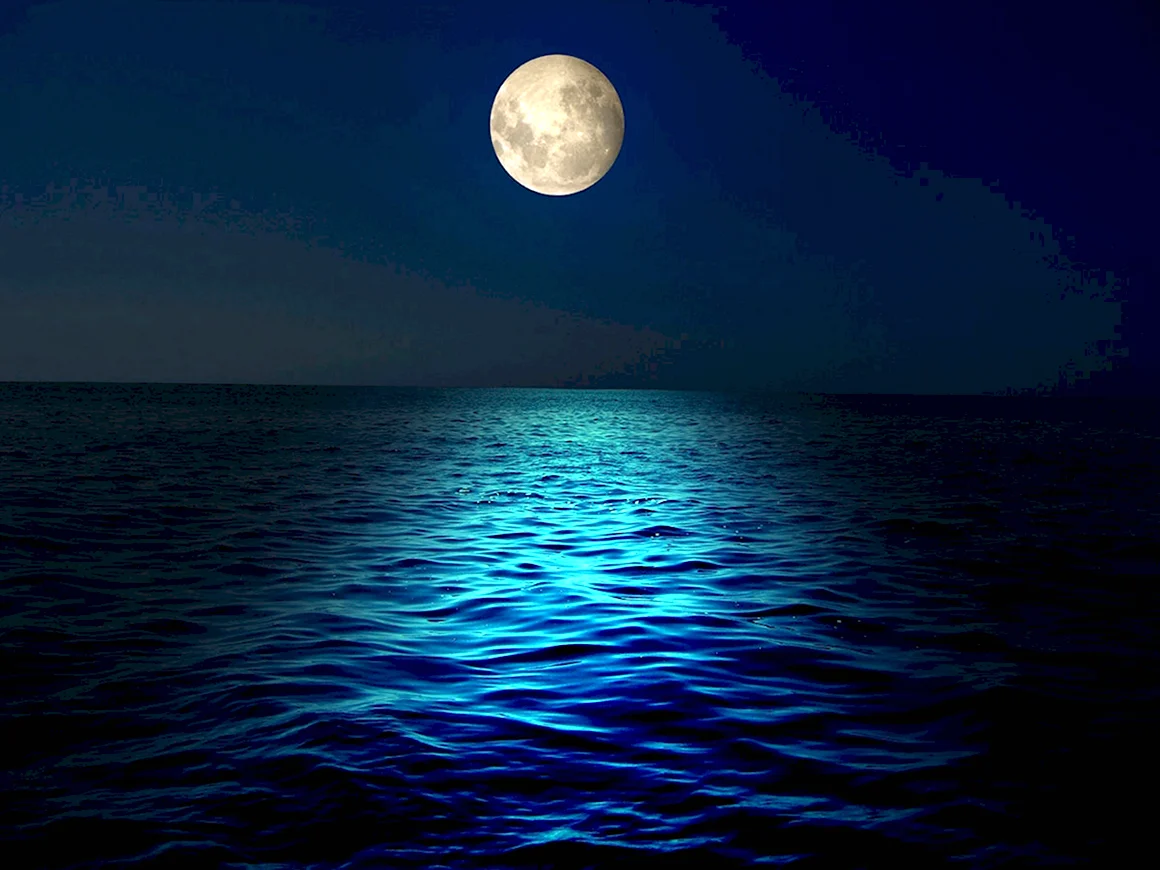 Ночное море