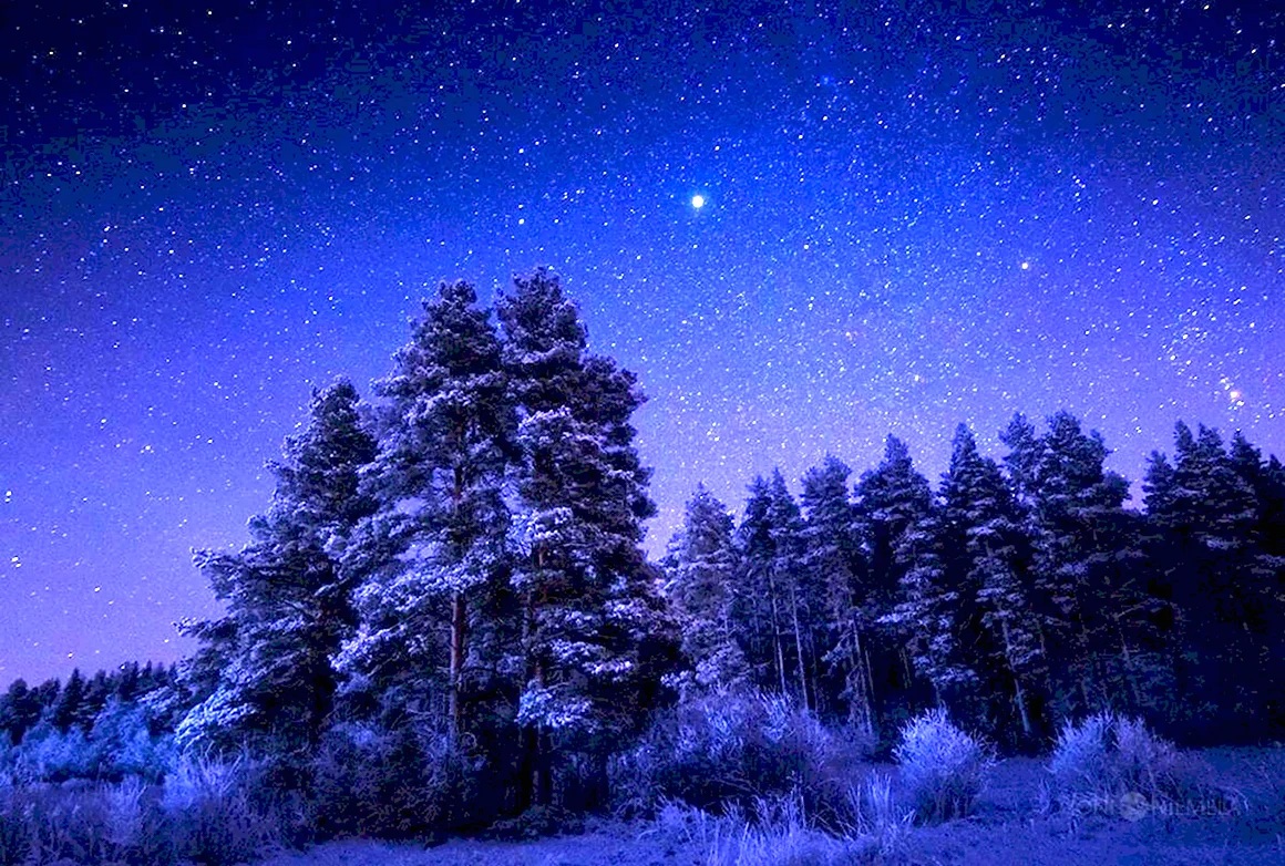 Ночное небо