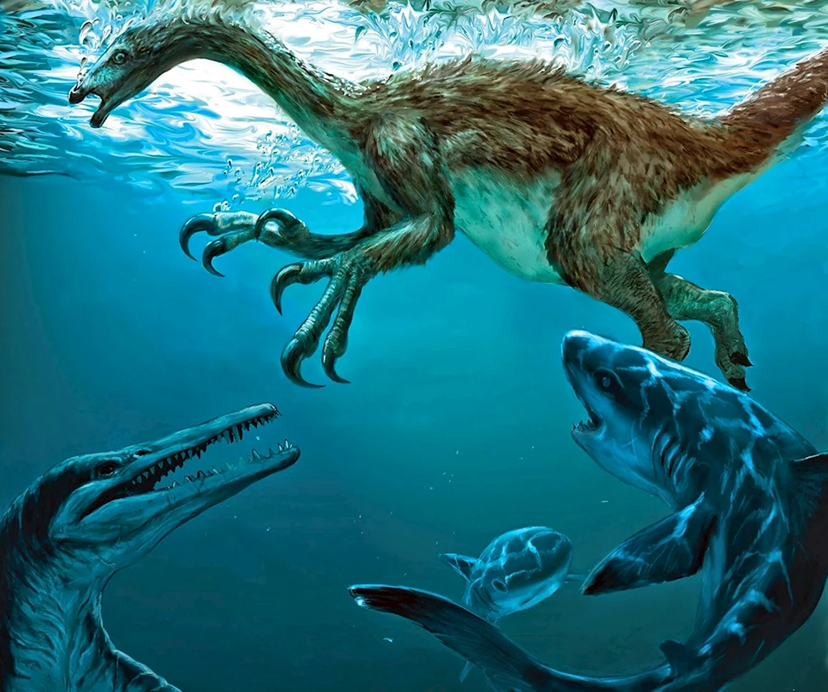 Nothronychus