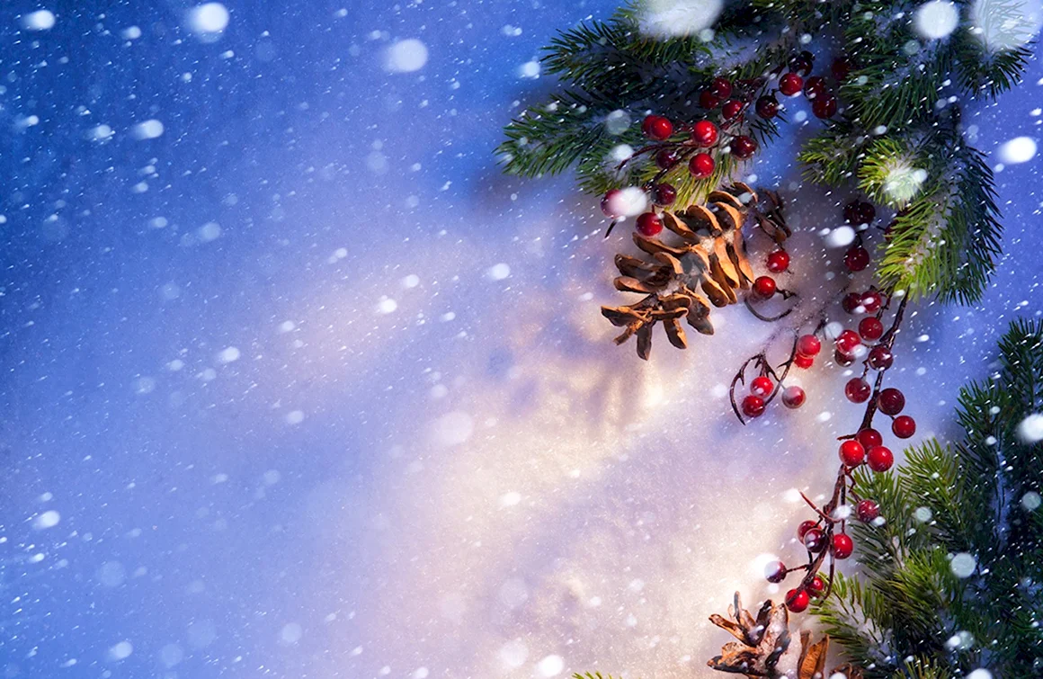 Новогодняя природа