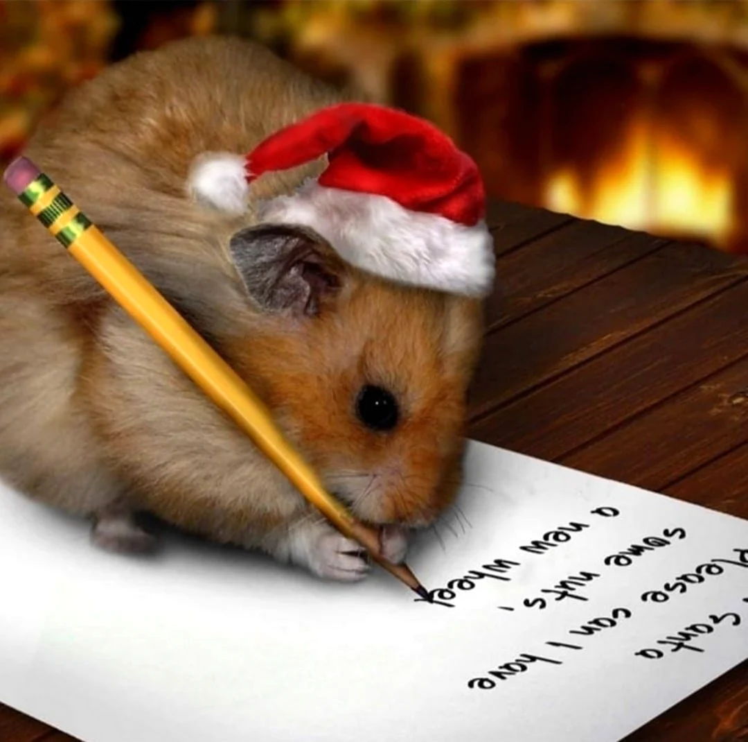 Новогодний хомяк
