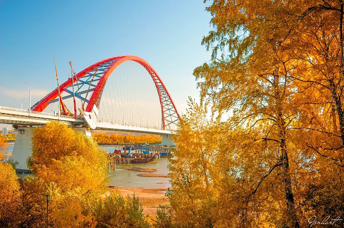 Новосибирск Бугринский мост осенью
