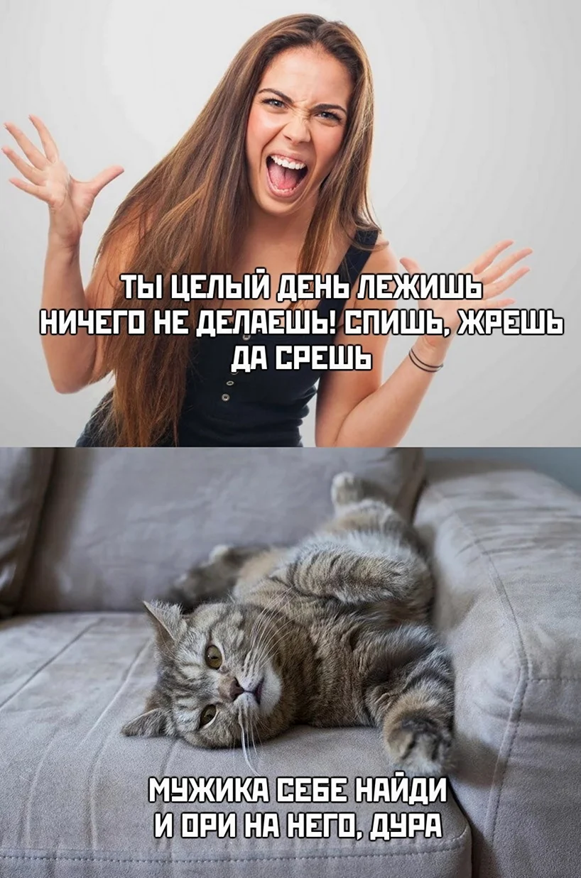 Новости смешные картинки