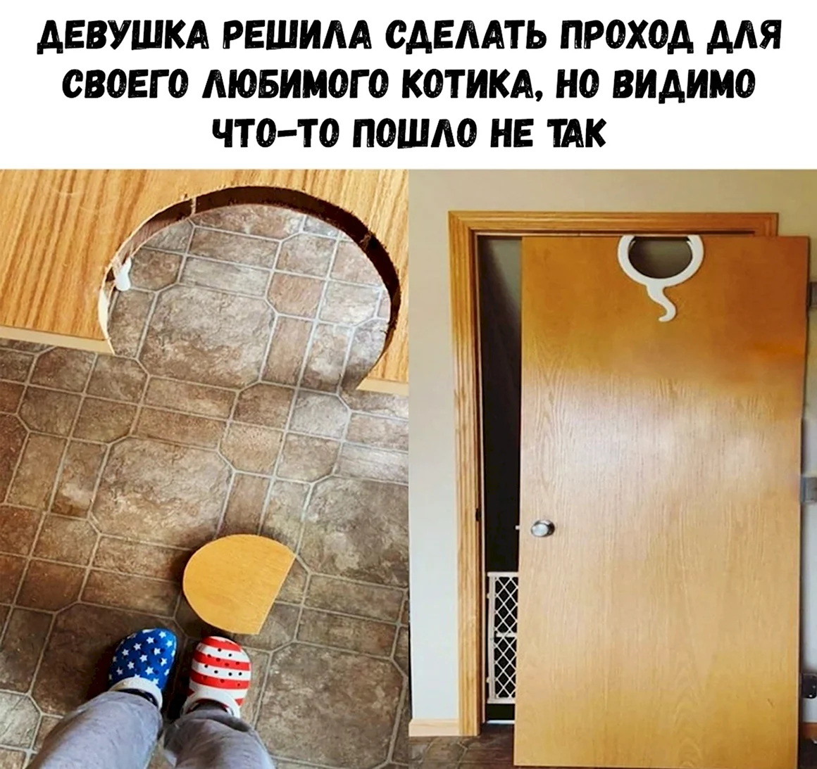 Новые мемы