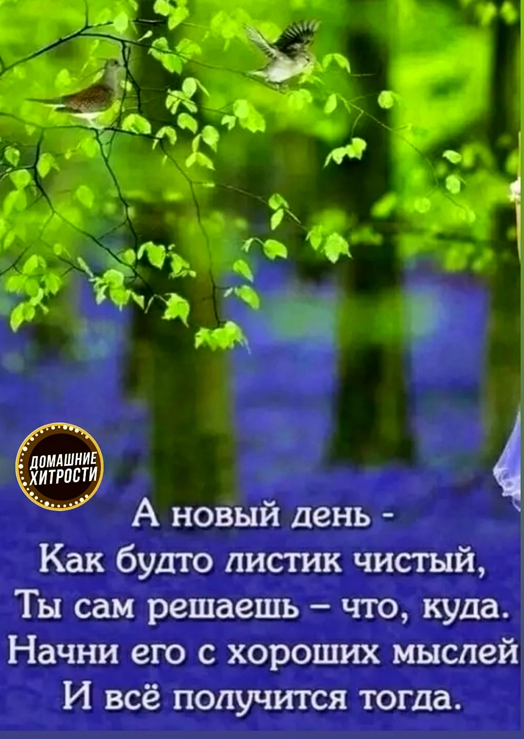 Новый день цитаты