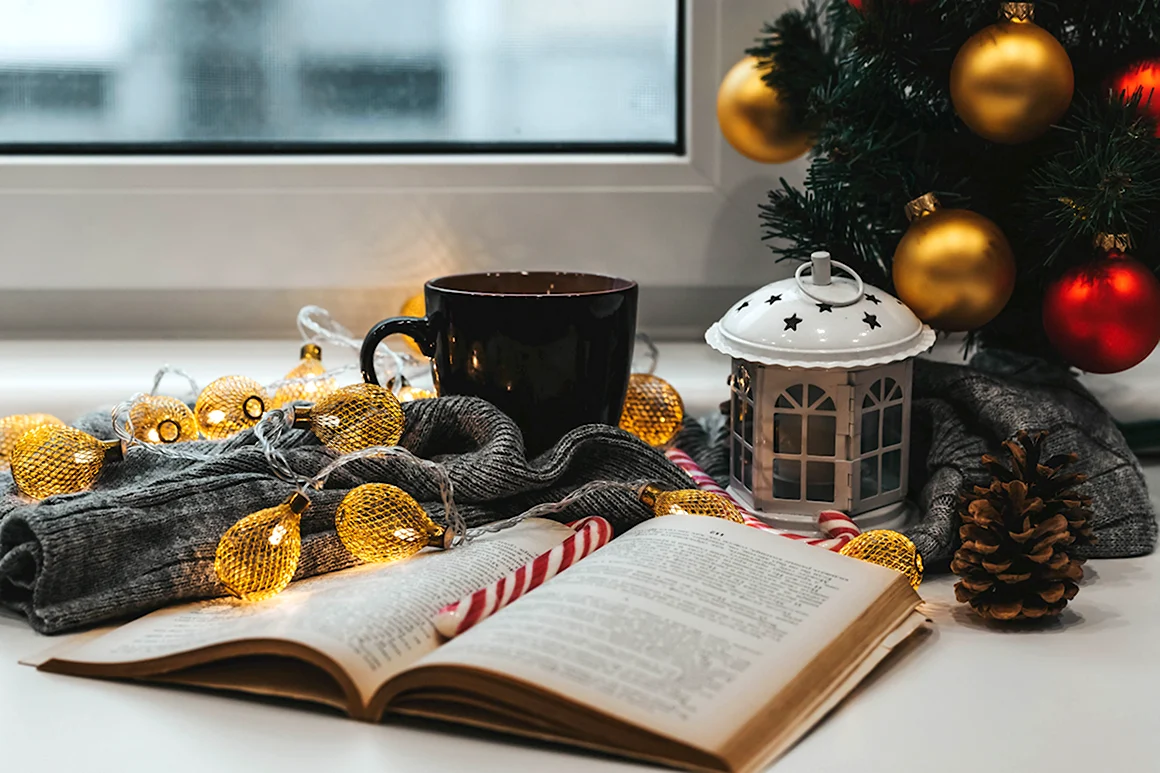 Новый год книги