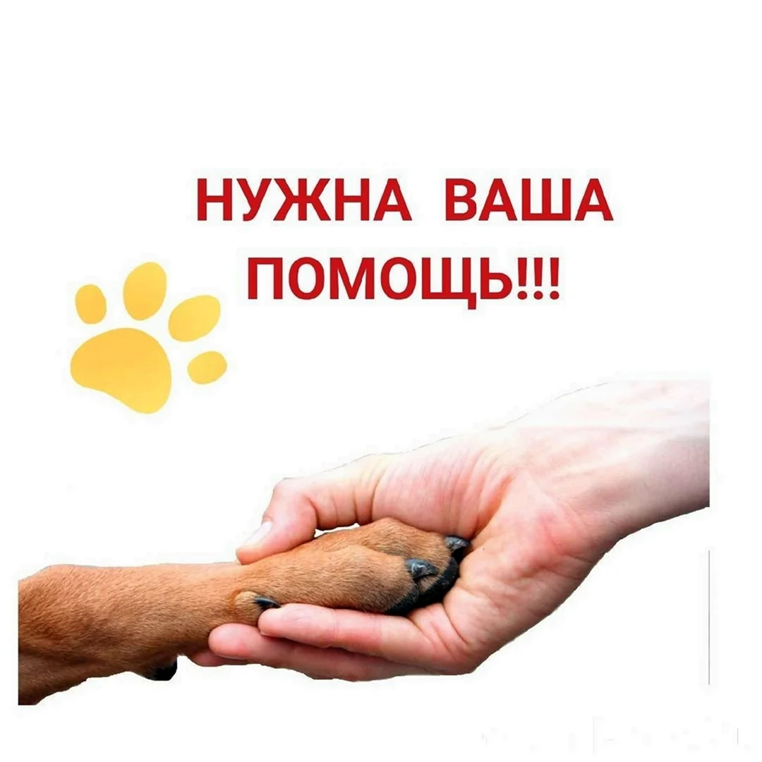 Нужна помощь