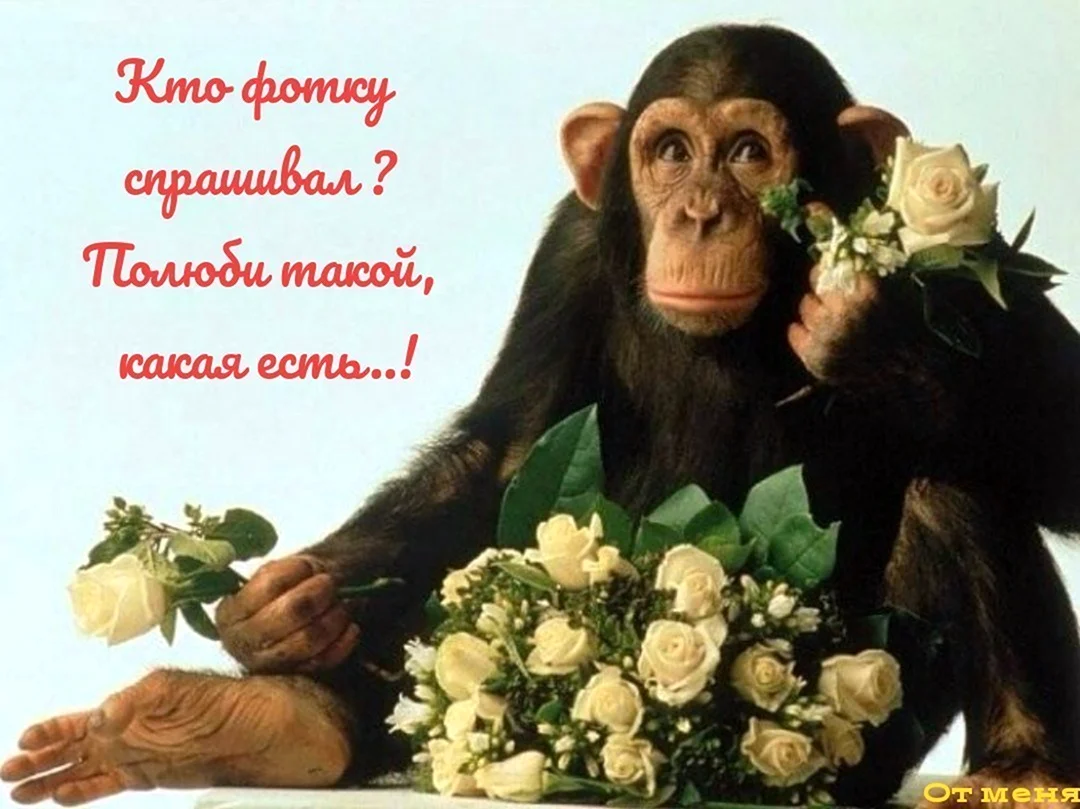 Обезьянка с цветами