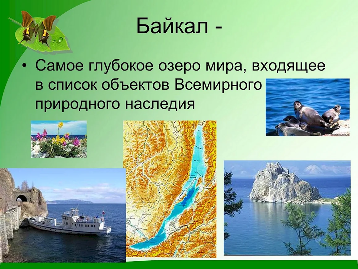Объекты природного наследия
