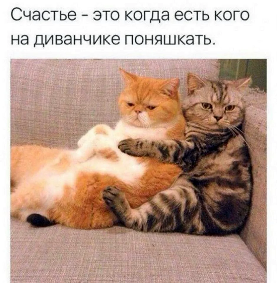 Объятия юмор