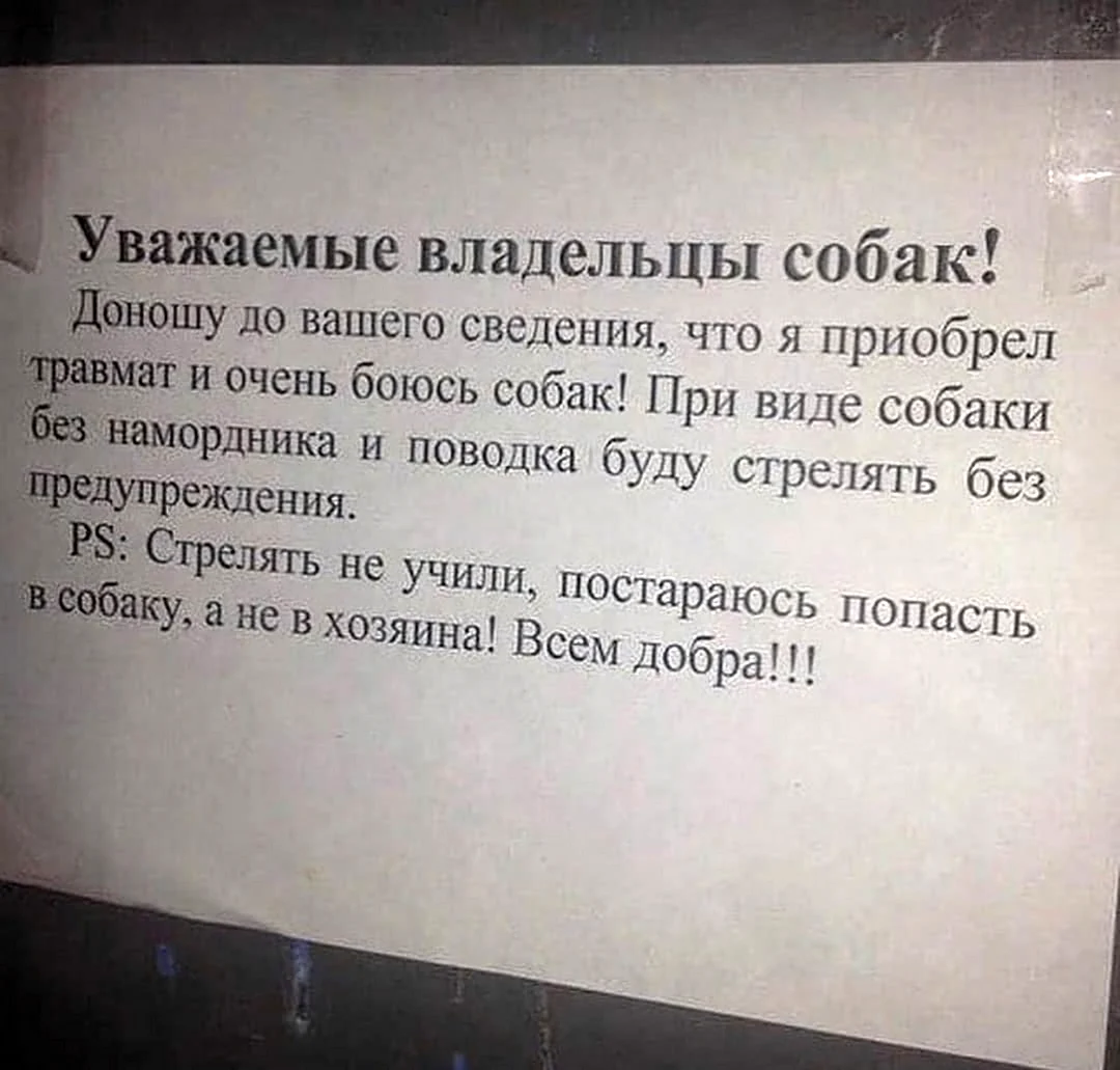 Объявление для владельцев собак