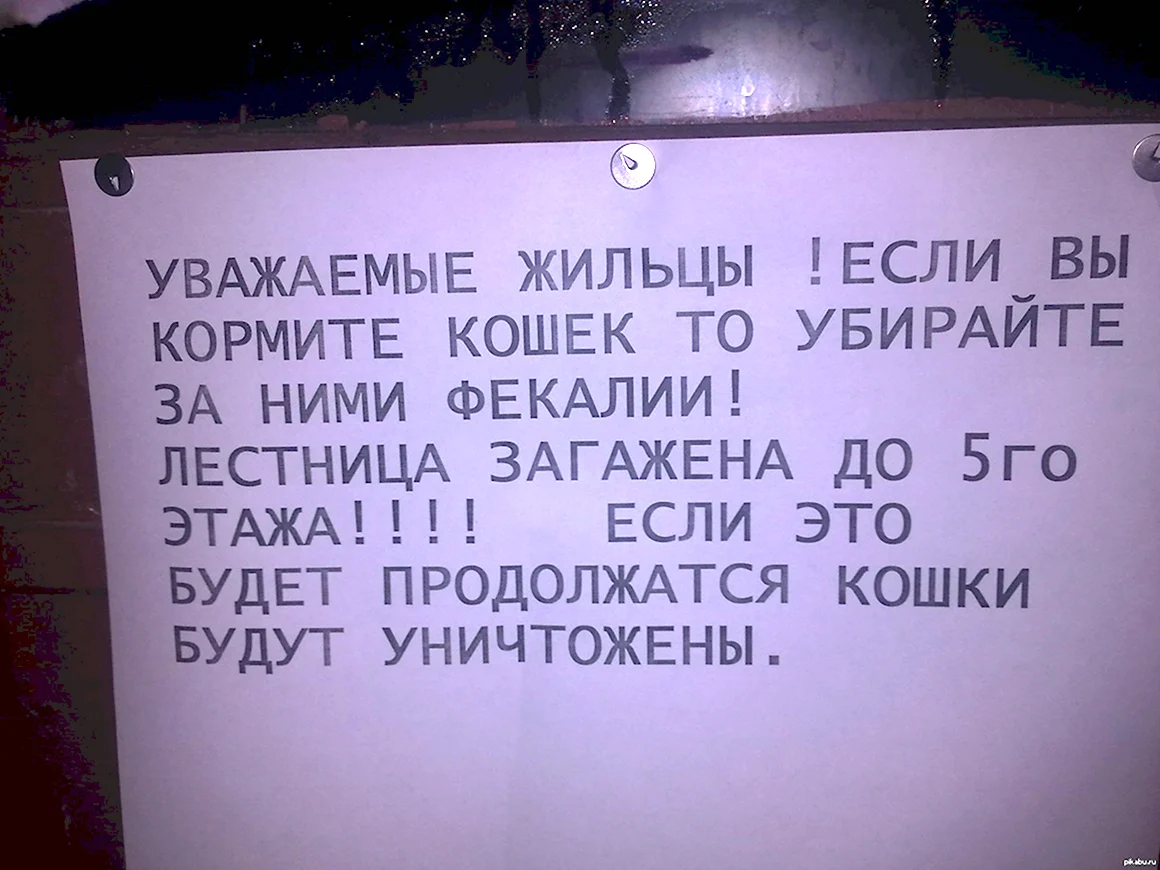 Объявление не гадить в подъезде