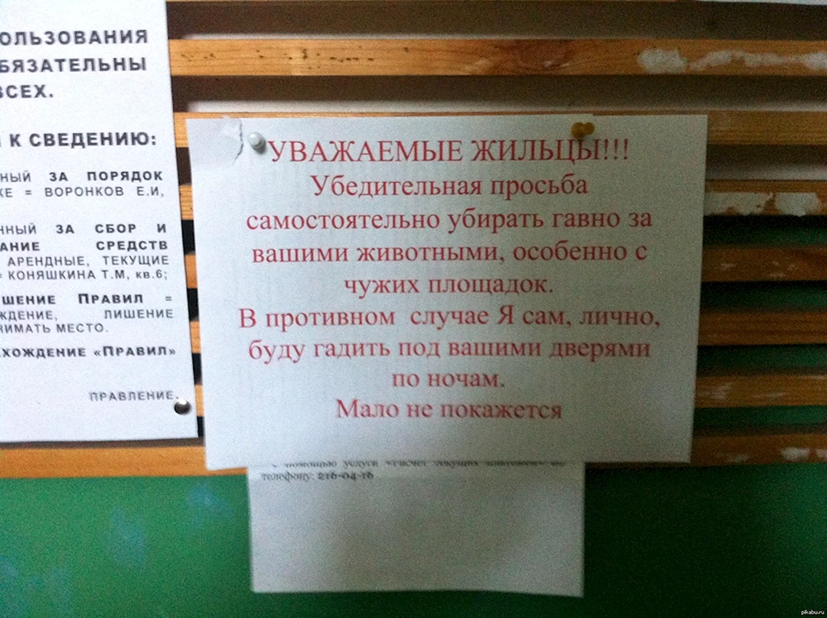 Объявление о животных в подъезде