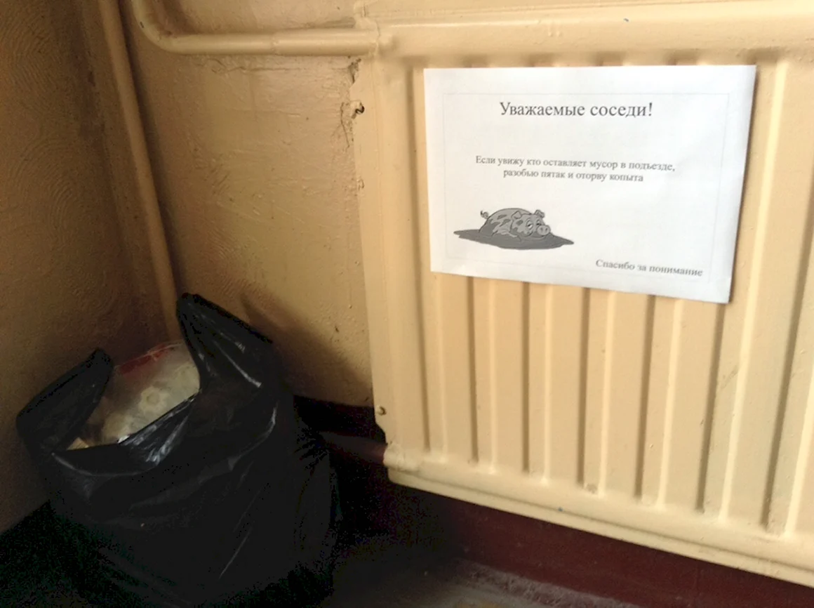 Объявление про свиней в подъезде