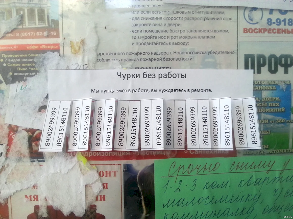 Объявления чурок приколы