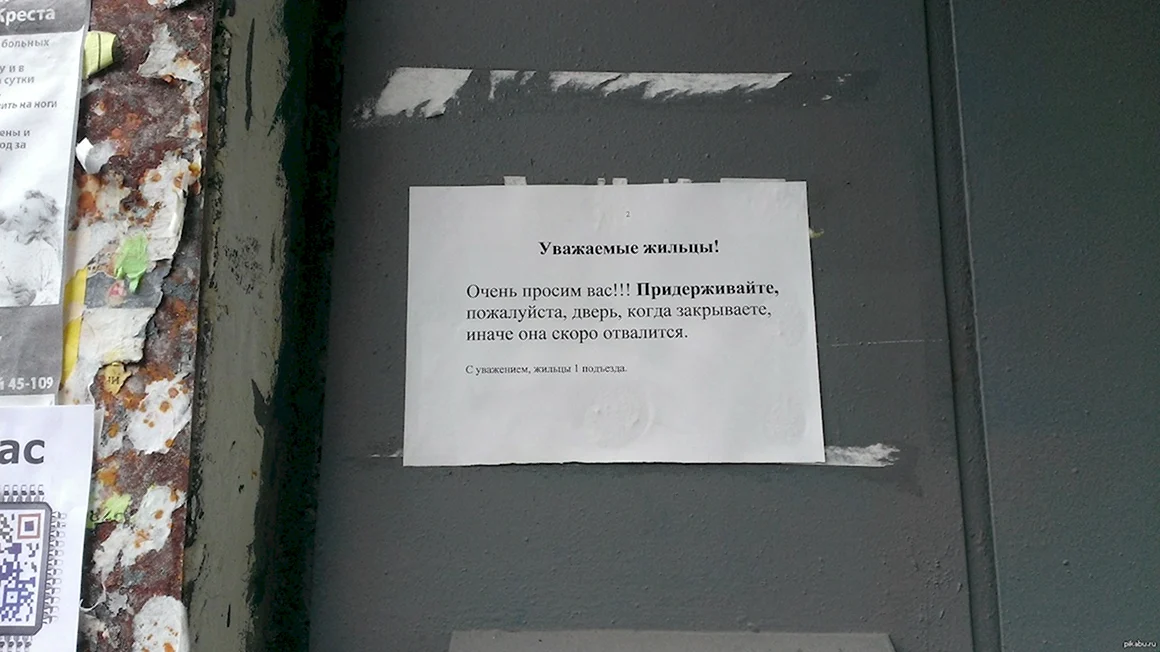 Объявления на двери подъезда