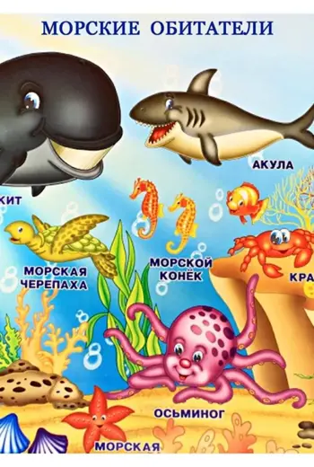 Обитатели моря для детей