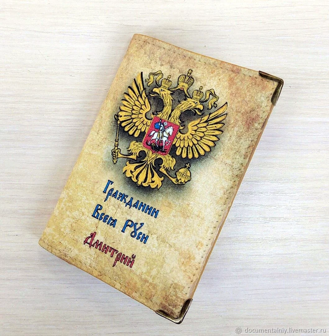 Обложка на паспорт прикольная