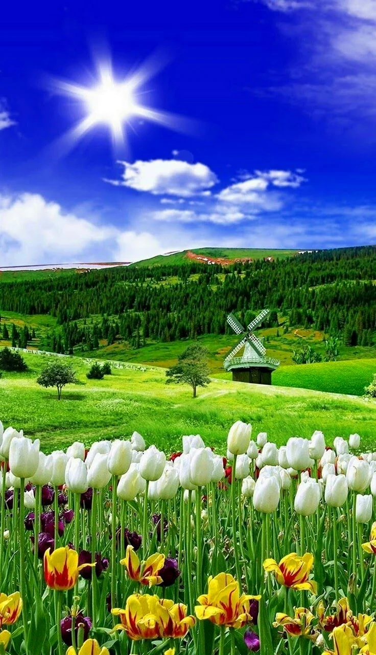 Обложка природа