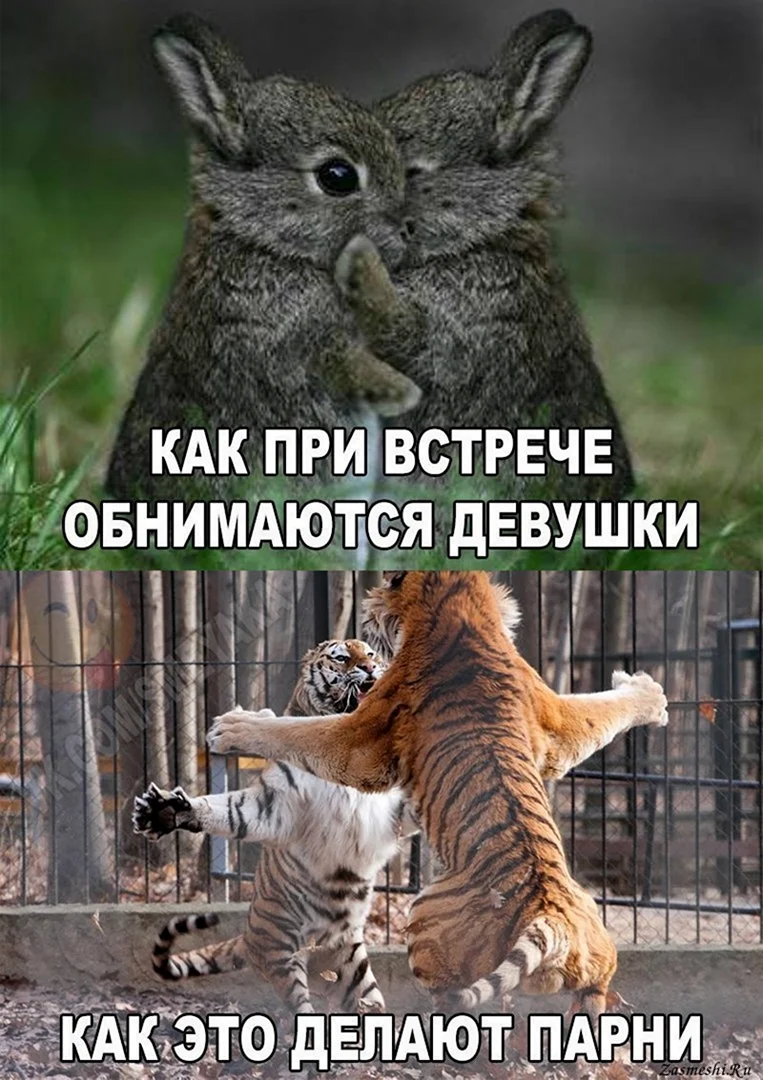 Обнимашки картинки прикольные