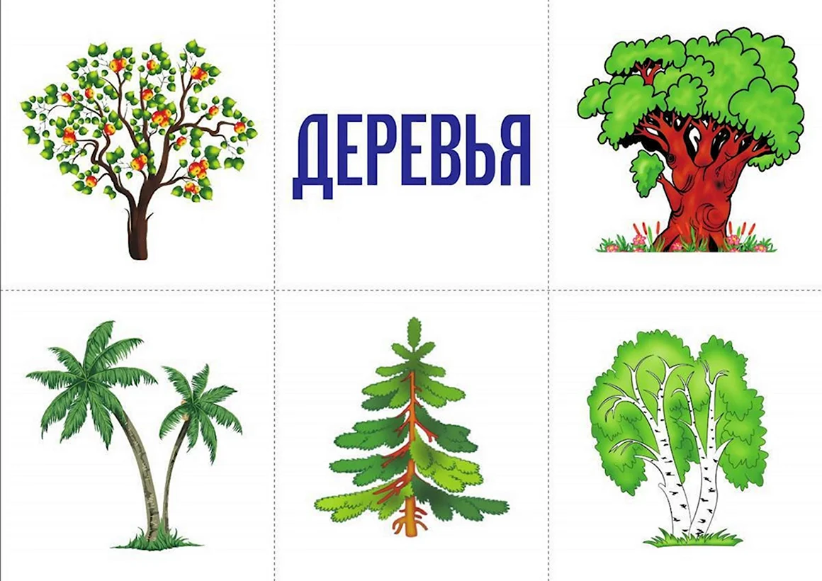 Обобщающие карточки для детей